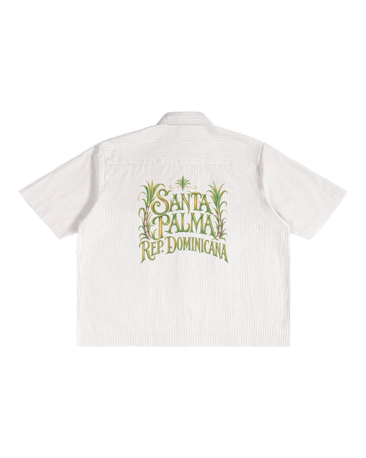 CAMISA CAÑA